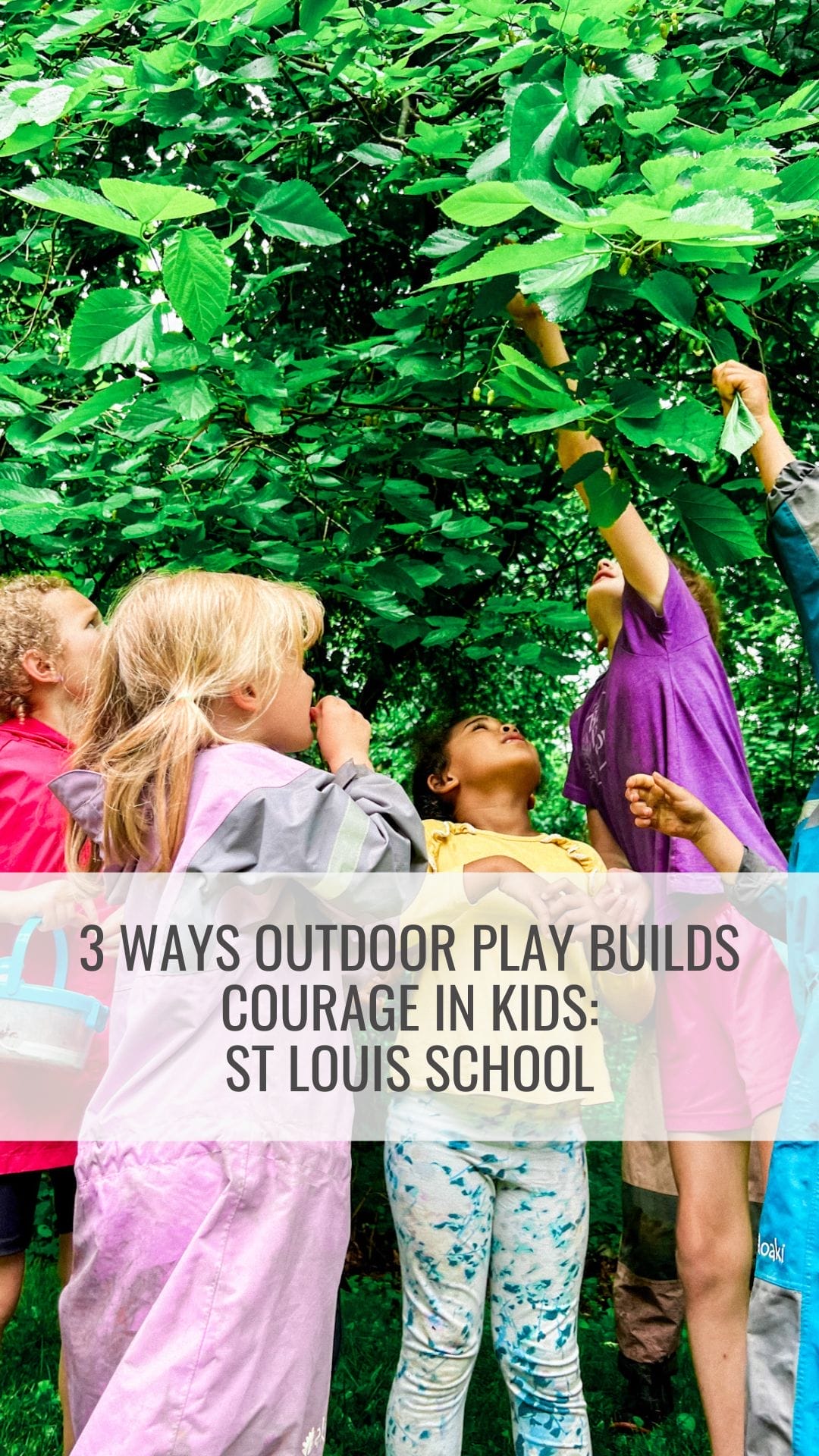 St Louis Christian School