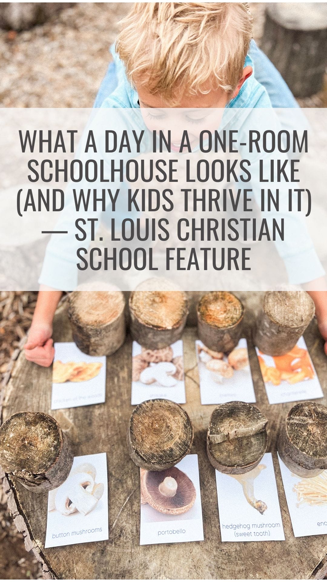 What a Day in a One-Room Schoolhouse Looks Like (And Why Kids Thrive in It) — St. Louis Christian School Feature